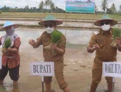 Pemkab Kutim Canangkan Kecamatan Kaubun Jadi Lumbung Padi