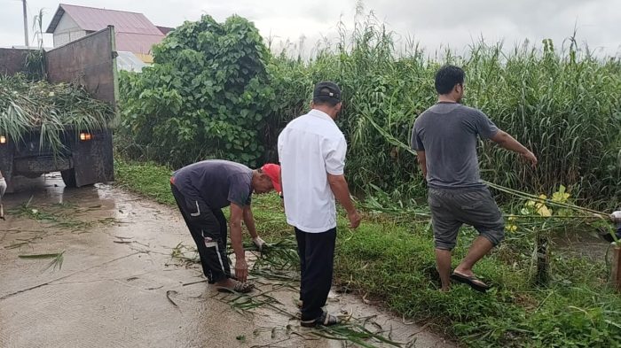 WhatsApp Image 2023-05-17 at 15.16.390