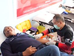 WhatsApp Image 2023-11-25 at 18.51.51_1047254d