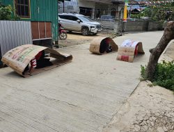 1519ad65-e41a-410f-80d9-7efb303cfc0d