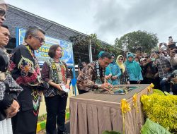 5188239a-b5df-49ef-98e2-b512d0126d0d