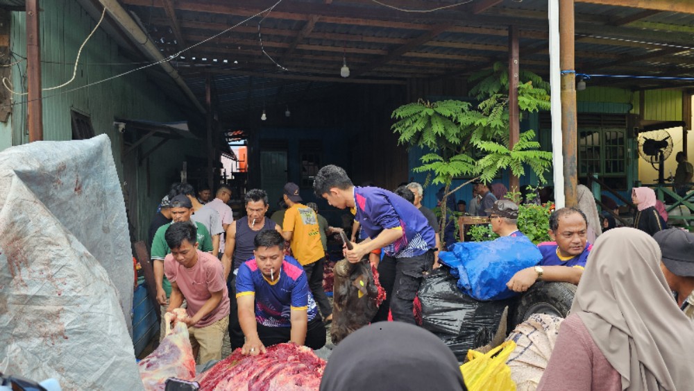 WhatsApp Image 2025-06-08 at 14.29.47_d3de76f0