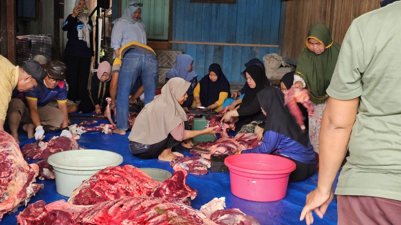 WhatsApp Image 2025-06-08 at 14.29.48_d1da51f1