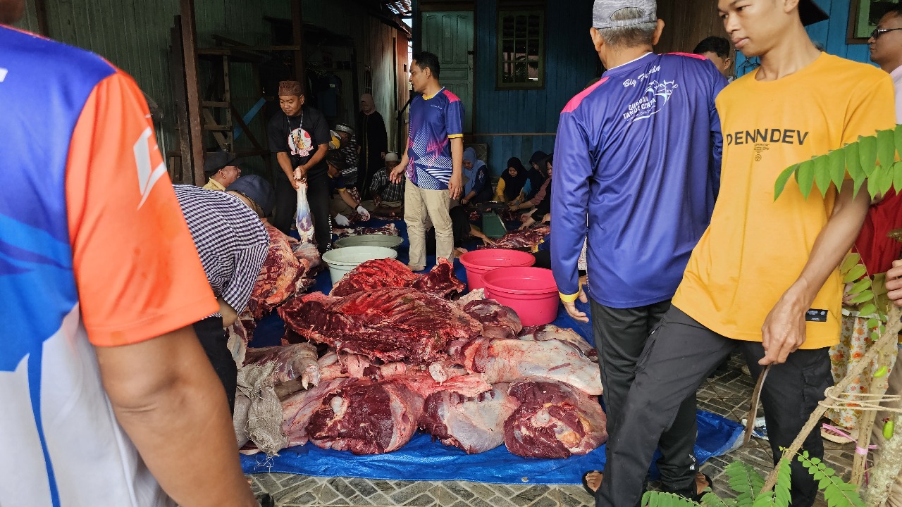 WhatsApp Image 2025-06-08 at 14.29.48_d59f509b